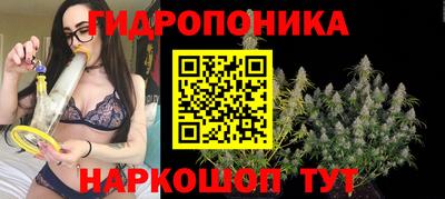 МДМА Новозыбков