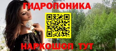 МДМА Новозыбков