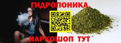 трава Новокубанск