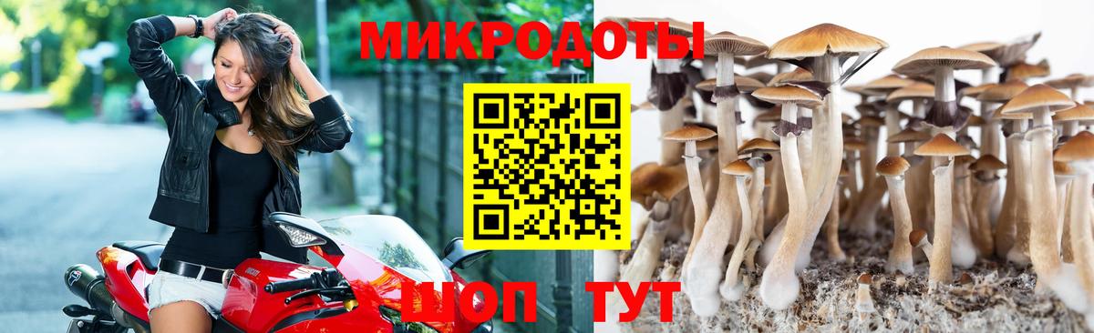 Галлюциногенные грибы мухоморы  Галлюциногенные грибы Psilocybe  Октябрьский  Вход с VPN 